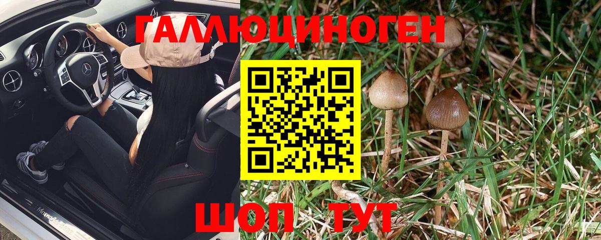 Галлюциногенные грибы Magic Shrooms  Вход с VPN  Белогорск 